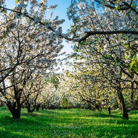 Monferrato Inn Rivarone Ngoại thất bức ảnh