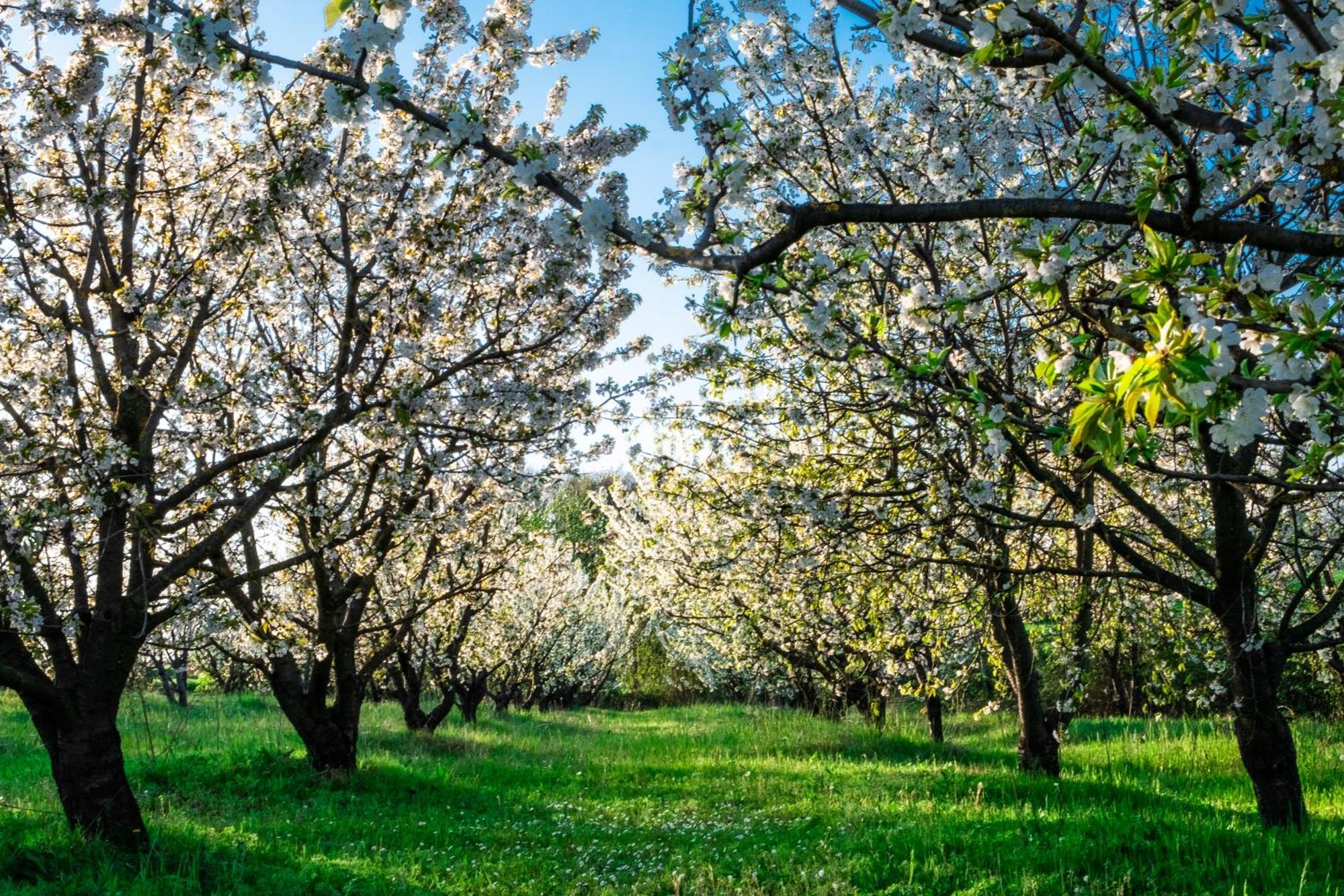 Monferrato Inn Rivarone Ngoại thất bức ảnh